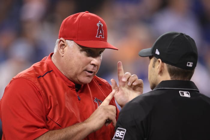 Mike Scioscia