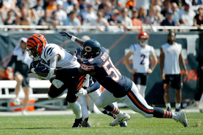 Young Bears defender poised to cash in