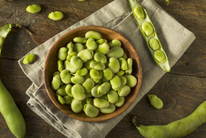 Fava beans & broad beans