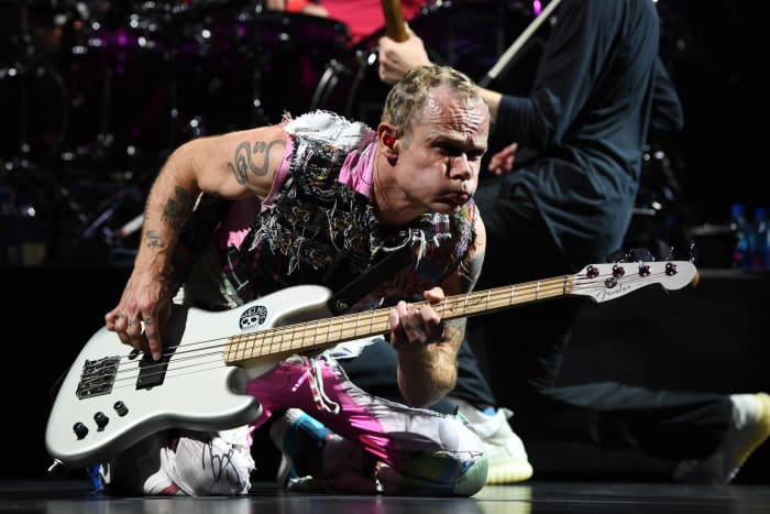 Flea