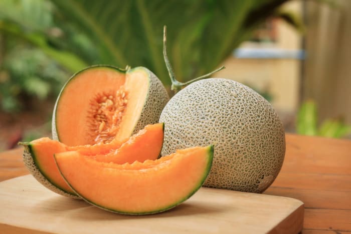 Cantaloupe