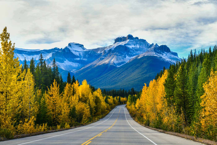 Icefield Parkway, Banff to Jasper, Alberta