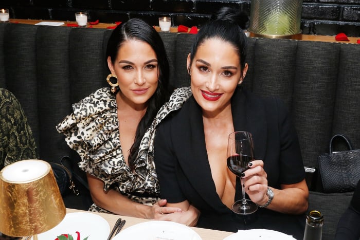 Nikki and Brie Bella