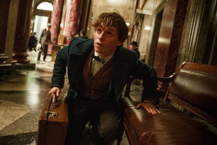 Newt Scamander