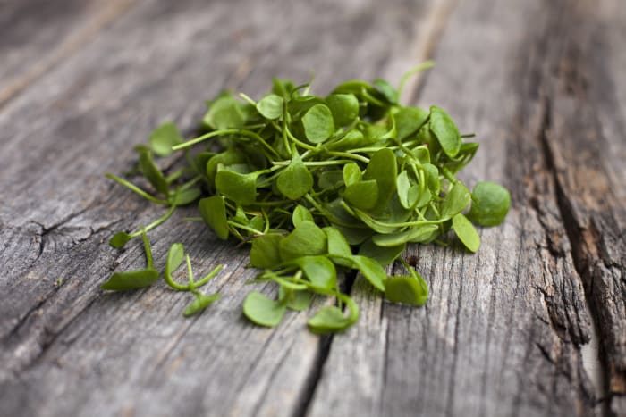 Watercress