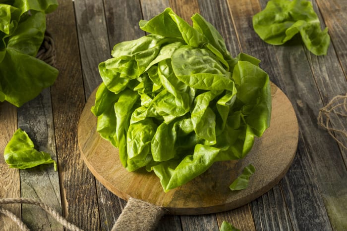 Boston lettuce