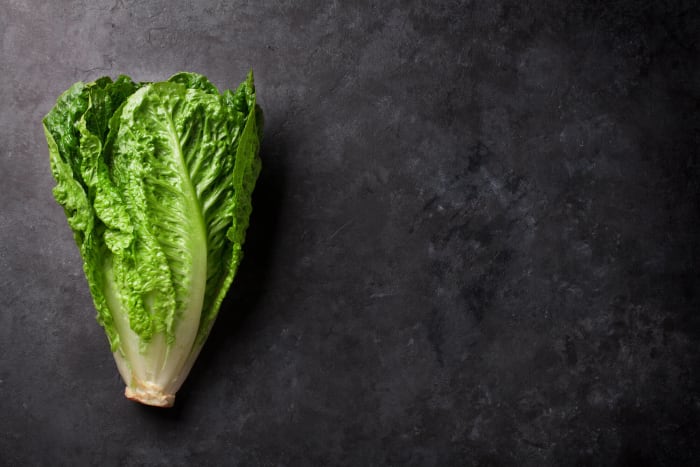 Romaine
