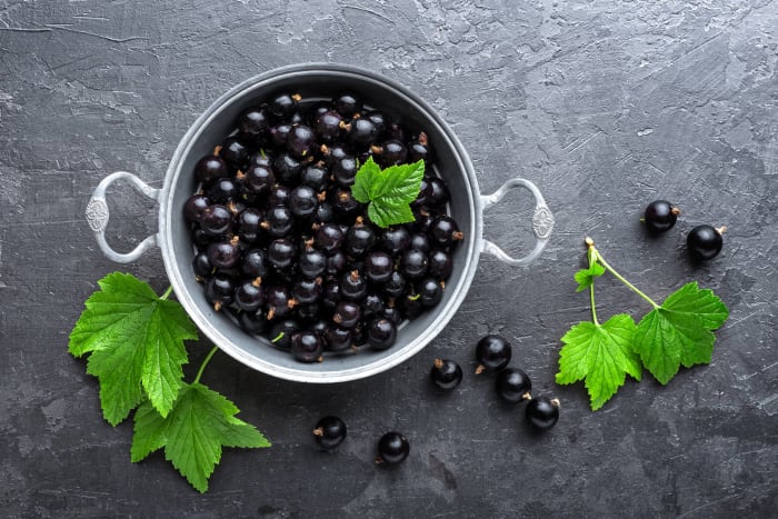 Blackberries