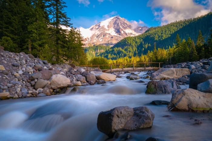 Nisqually Vista Trail, Washington