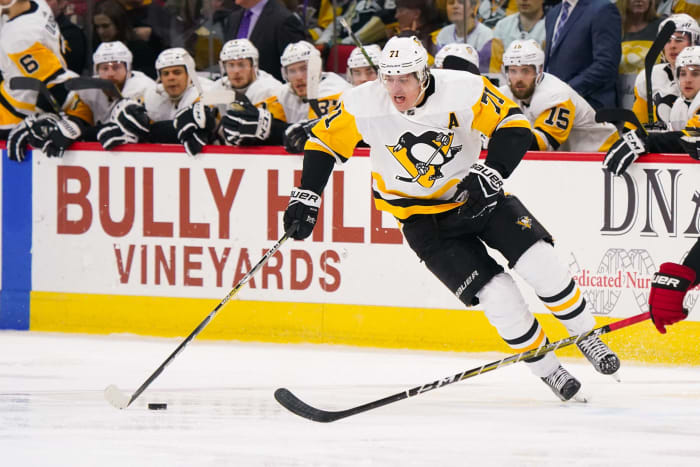 2016-17 Pittsburgh Penguins