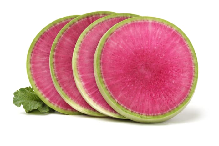Watermelon radish