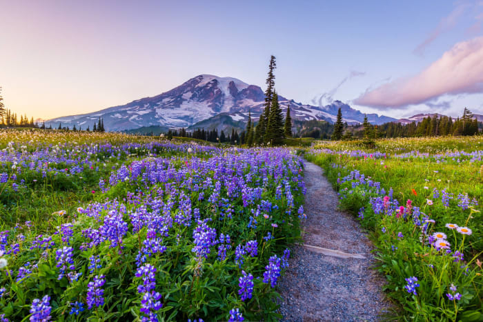 Mount Rainier, Washington