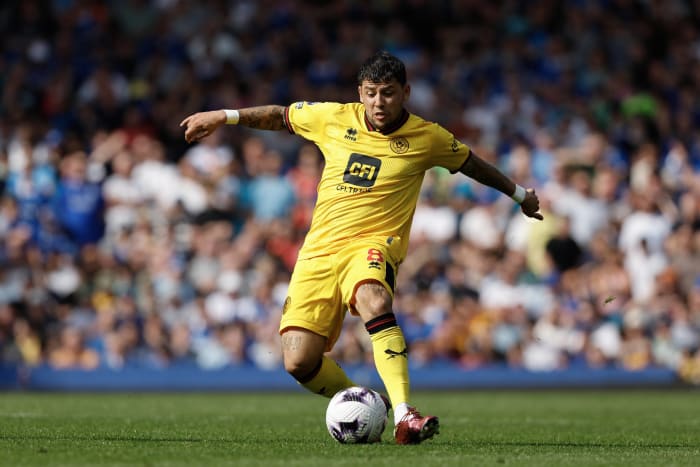 Sheffield United: Gustavo Hamer