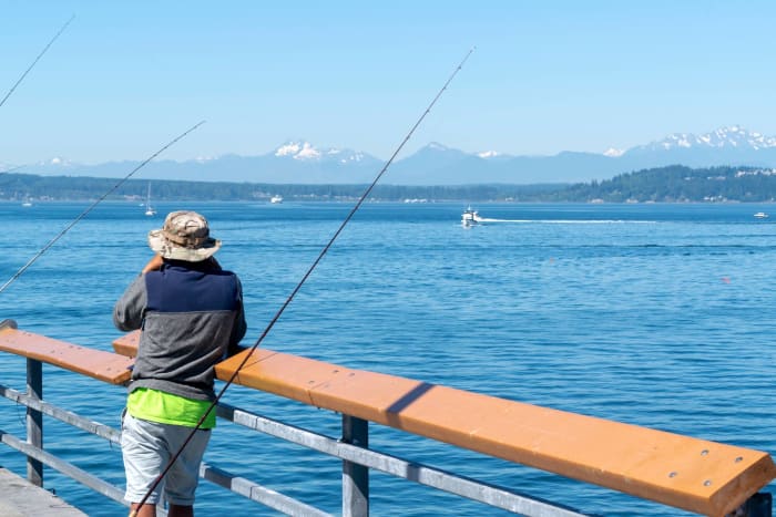 The Puget Sound, Washington