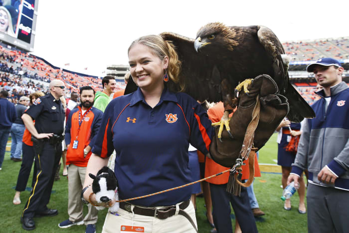 Auburn: The War Eagle