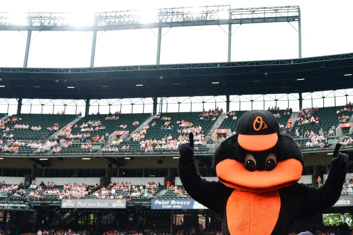 Baltimore Orioles Mascot Stare Cooling Headband