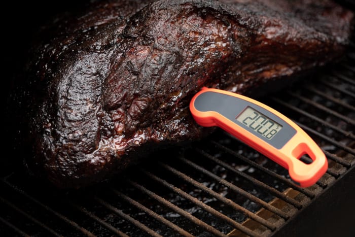 Meat and Seafood Temperature Guide - Bitz & Giggles