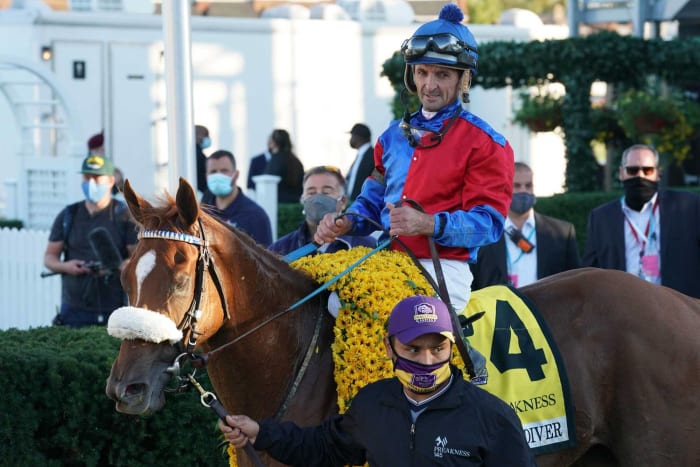 Marlins Man's latest appearance is at the Preakness Stakes 