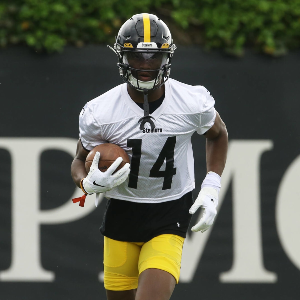 Steelers' George Pickens named 'must-see NFL rookie'