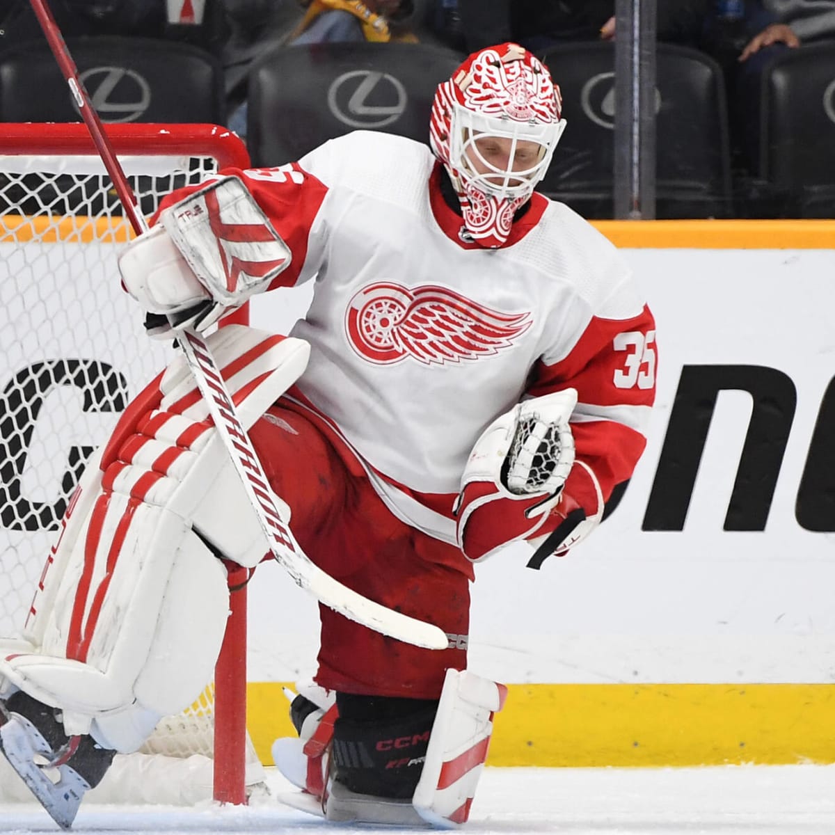 Breaking down the Detroit Red Wings' goalies: Husso, Nedeljkovic