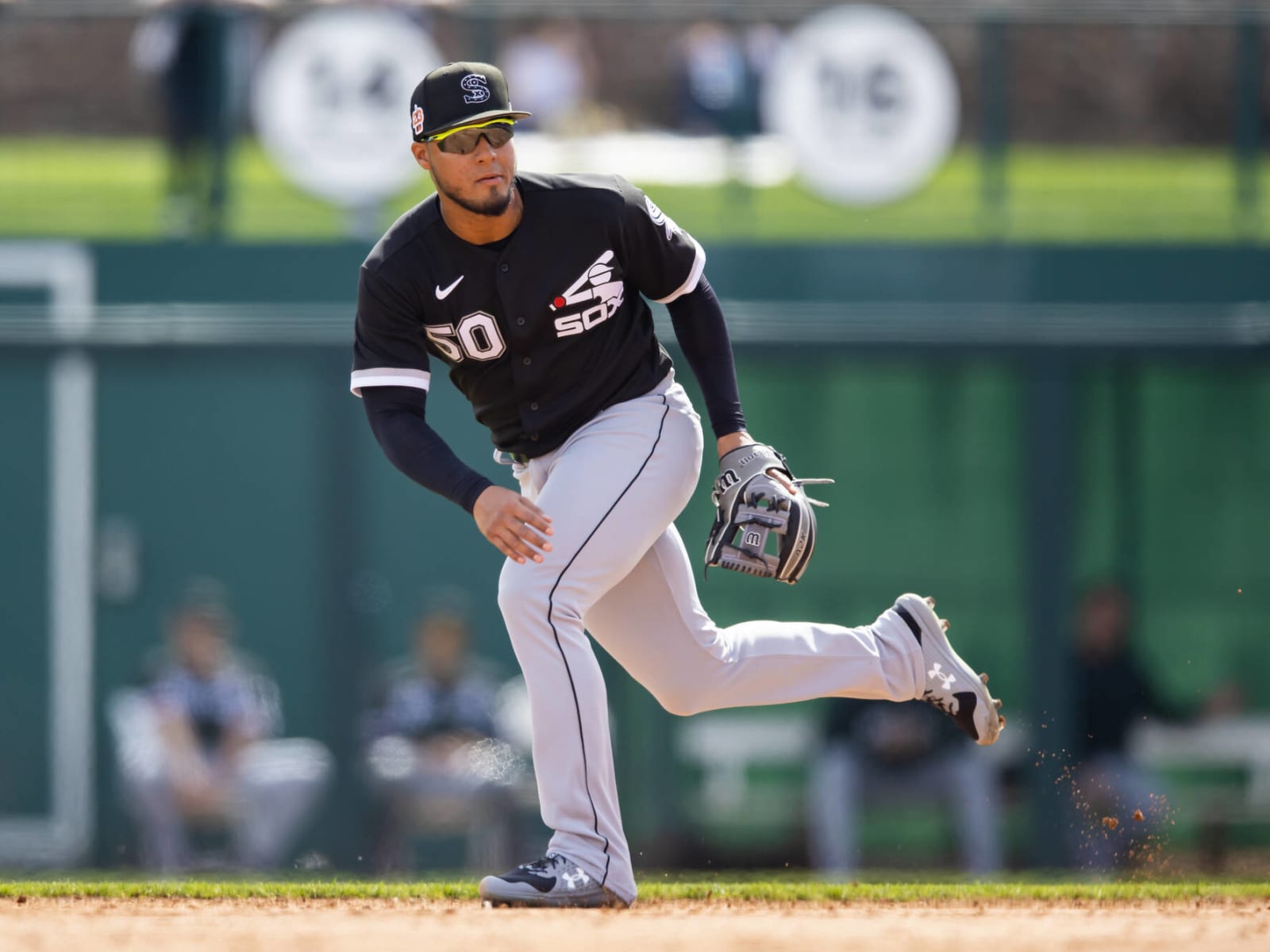 Chicago White Sox on Twitter: #WhiteSox make eight roster moves