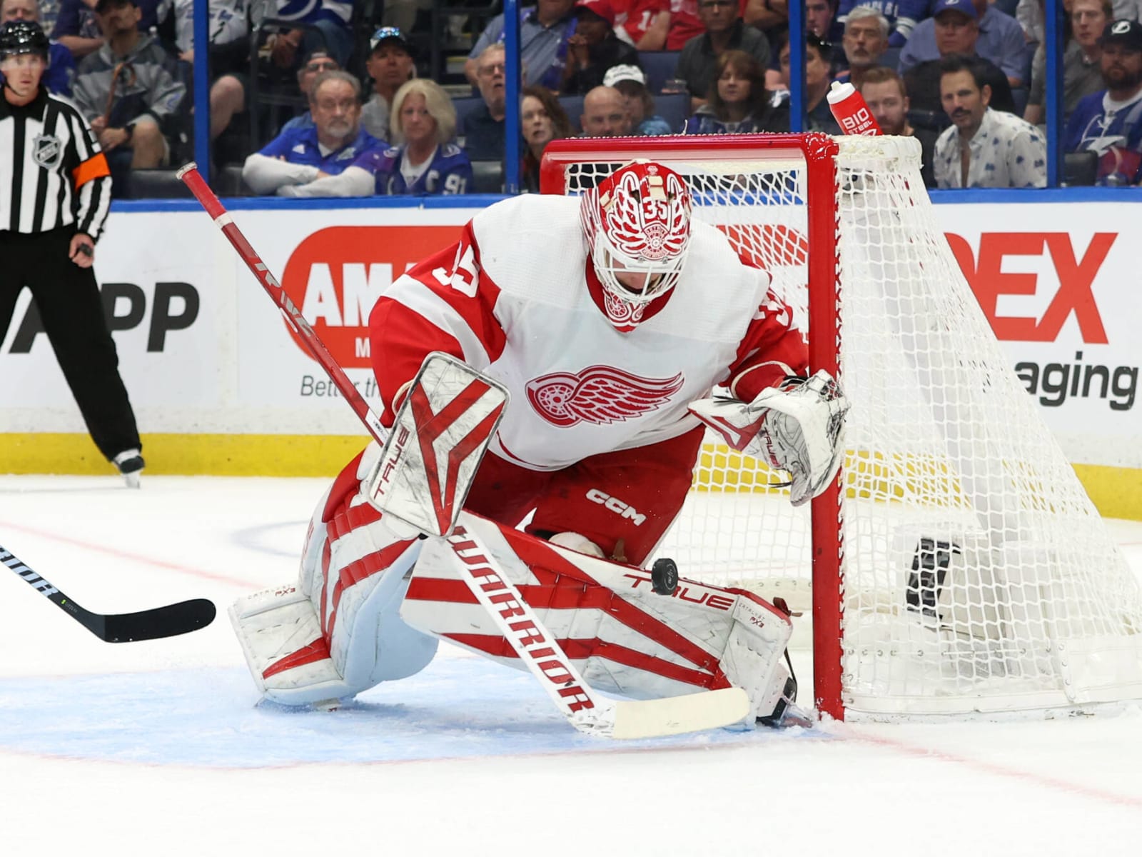 2020 Vision: What the Detroit Red Wings roster will look like in