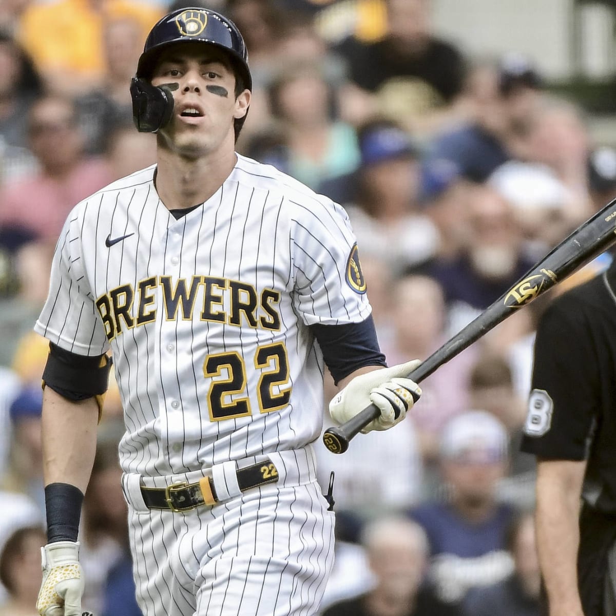 Milwaukee Brewers star Christian Yelich gifts young fan with puppy