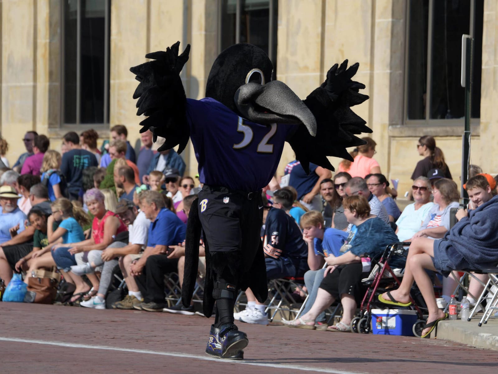 Ravens mascot injured in halftime football game