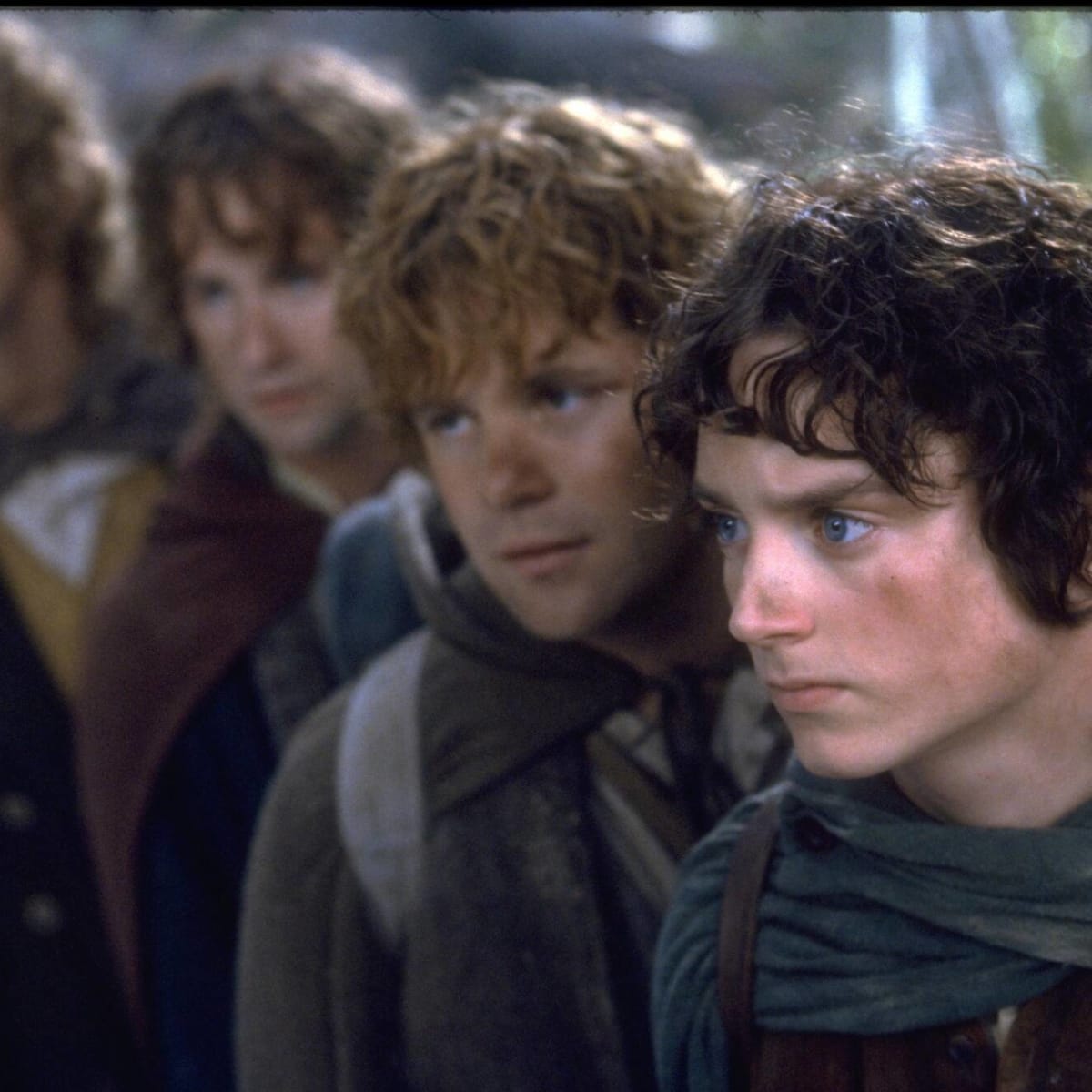 The Members Of The Fellowship Of The Ring Ranked From Weakest To Strongest