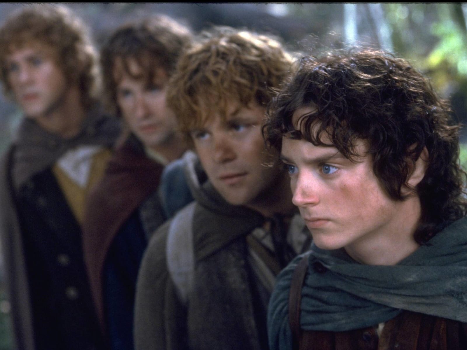 max sees movies: #50: The Lord of the Rings: The Fellowship of the Ring