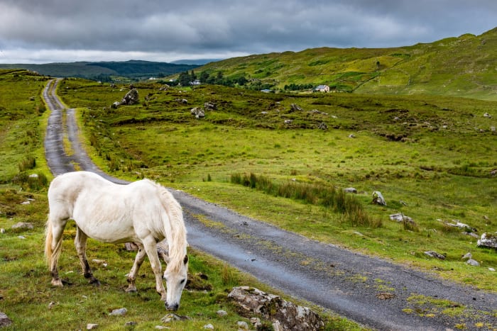 Ireland