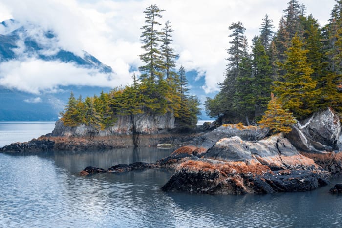 Kenai Fjords National Park