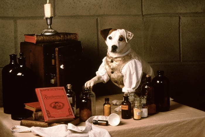 Wishbone, ‘Wishbone’