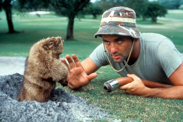 Carl Spackler ('Caddyshack')