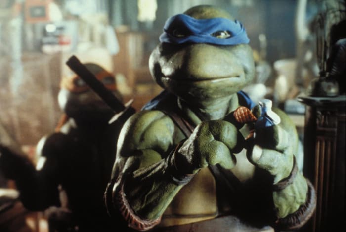 20 Facts About Teenage Mutant Ninja Turtles (Teenage Mutant Ninja Turtles)  