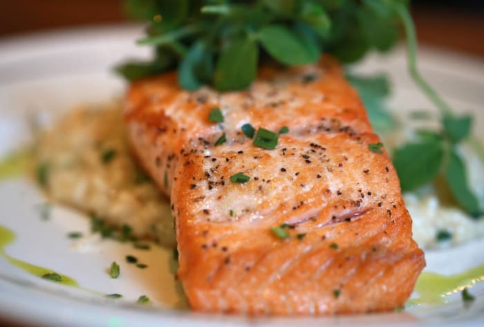 Salmon