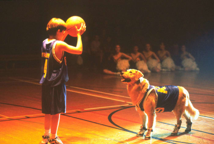 Swingman: Buddy/Old Blue ('Air Bud')