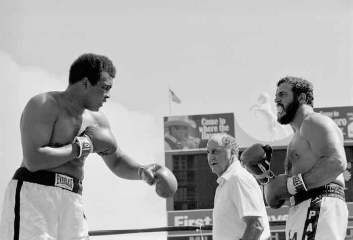 Exhibition bouts and pro wrestling appearances