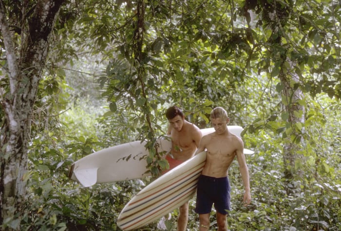 The Endless Summer (1966)