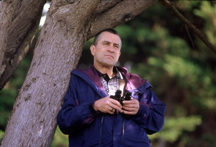 “The Fan” (1996)