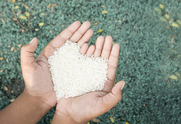 Rice