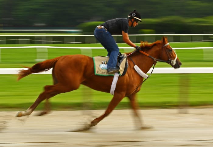 2012: I'll Have Another