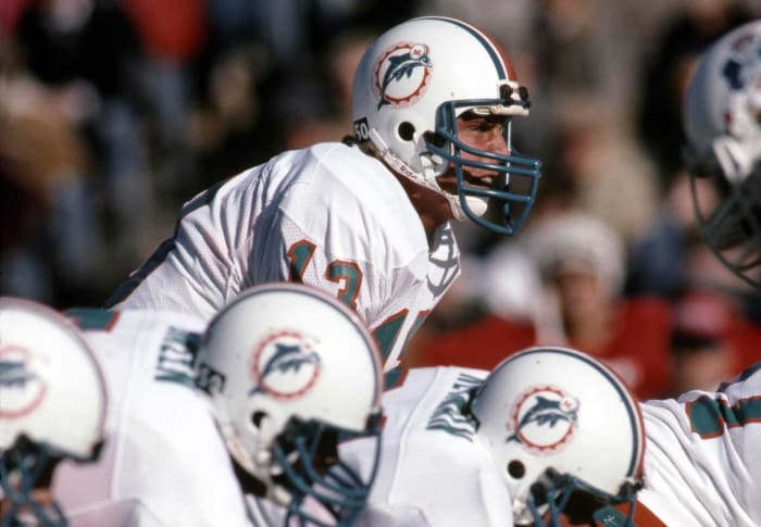 1983 Miami Dolphins