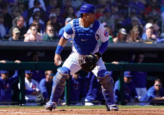 Chicago Cubs: Willson Contreras, C