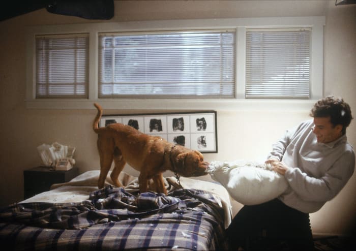 “Turner & Hooch” (1989)