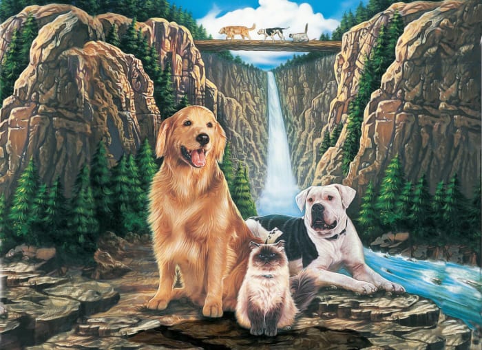 'Homeward Bound: The Incredible Journey'