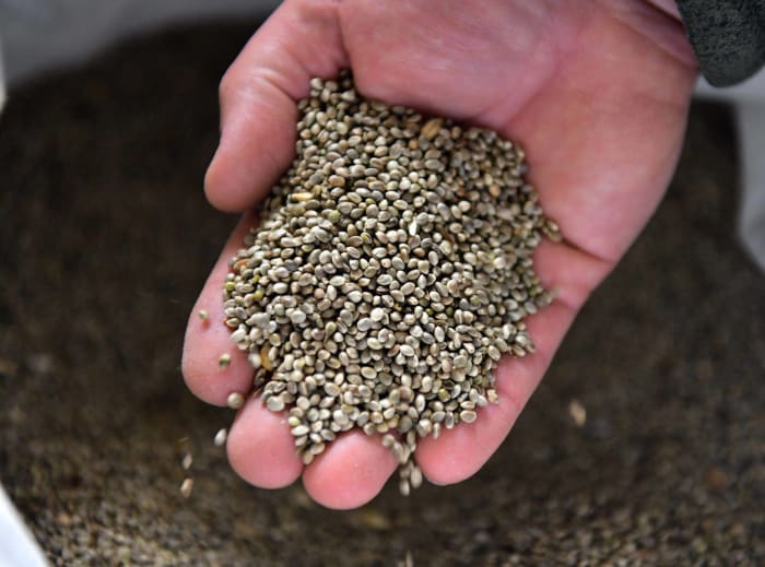 Proteinpacked foods that will help fuel your muscles Yardbarker