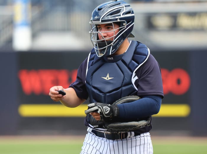 Jose Trevino New York Yankees Road Player Jersey by Nike