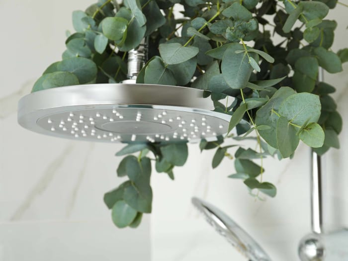 Hang eucalyptus in your shower