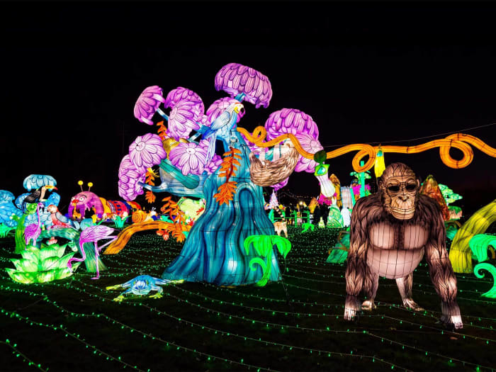 Go to the Winter Lantern Festival